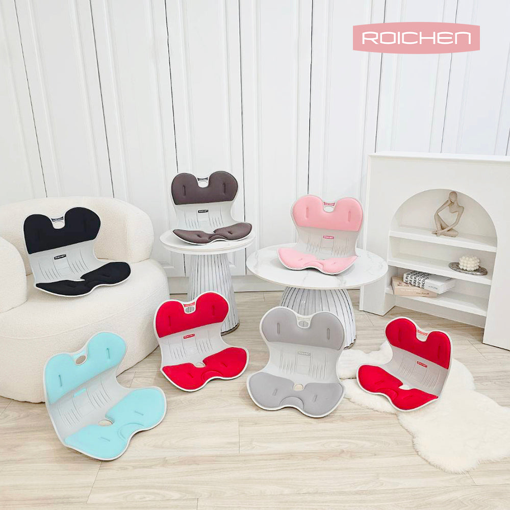 Roichen Posture Correction Chair x2