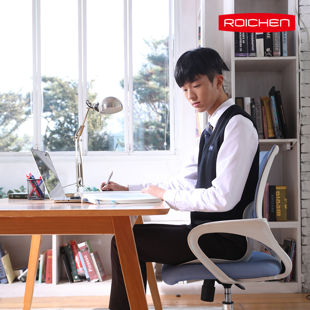 Roichen Posture Correction Chair for Men