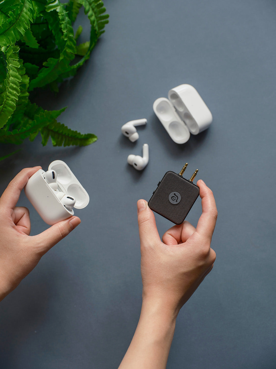 ADAM elements - EVE II Bluetooth Transmitter & Receiver