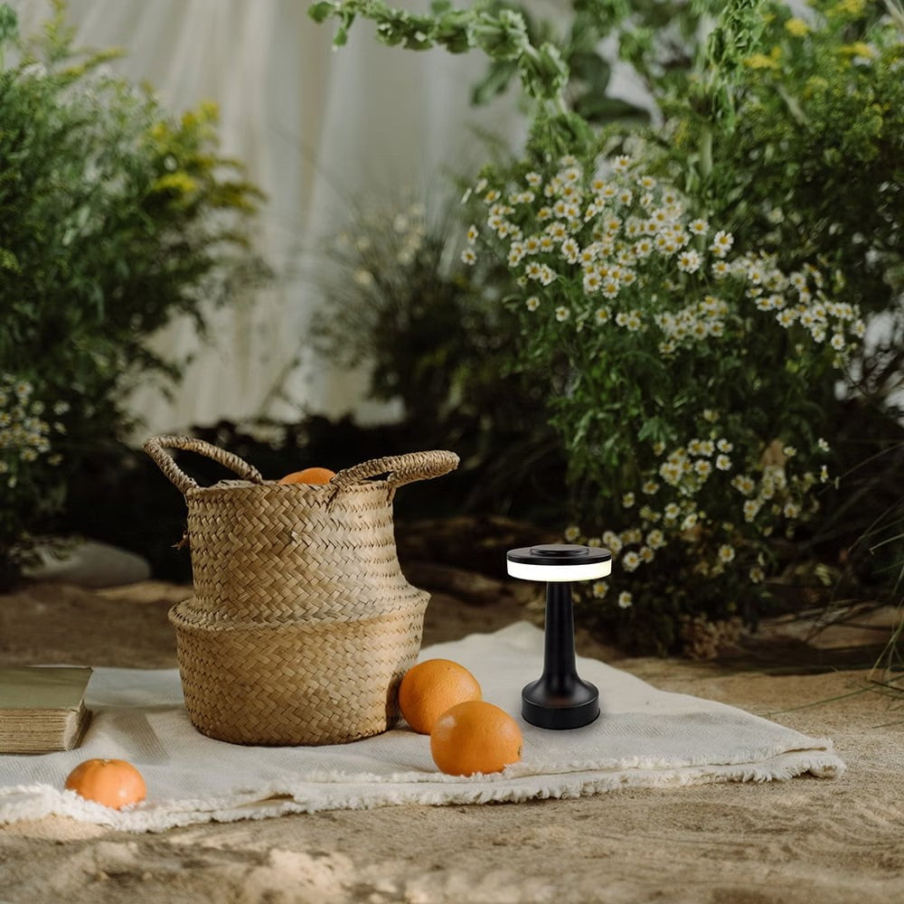 Alit - FARO LED Metal Atmosphere Wireless Lamp (Early Jan)