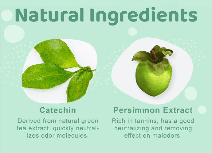 Odout Pet Urine Stain Remover 500ml