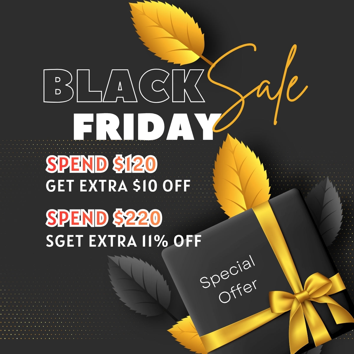 Black Friday Frenzy Sale