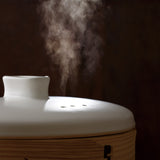 JIA - Steamer Pot 28cm (Brown)
