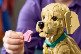 LEGO - Golden Retriever Puppy