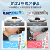 Maxro Triple Protection Microfibre Pillow (Late Oct Preorder)