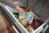 Packit - Freezable Snack Box - Citrus Orchard (Late Sept Preorder)