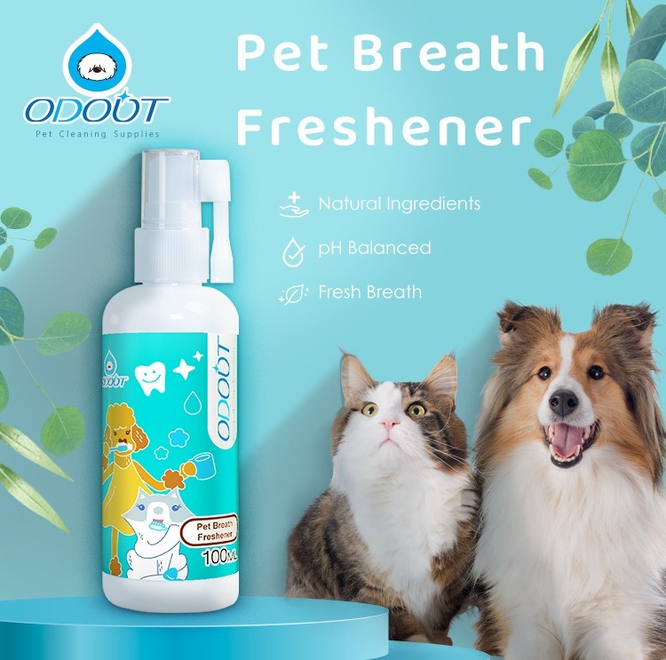Puppy breath spray top